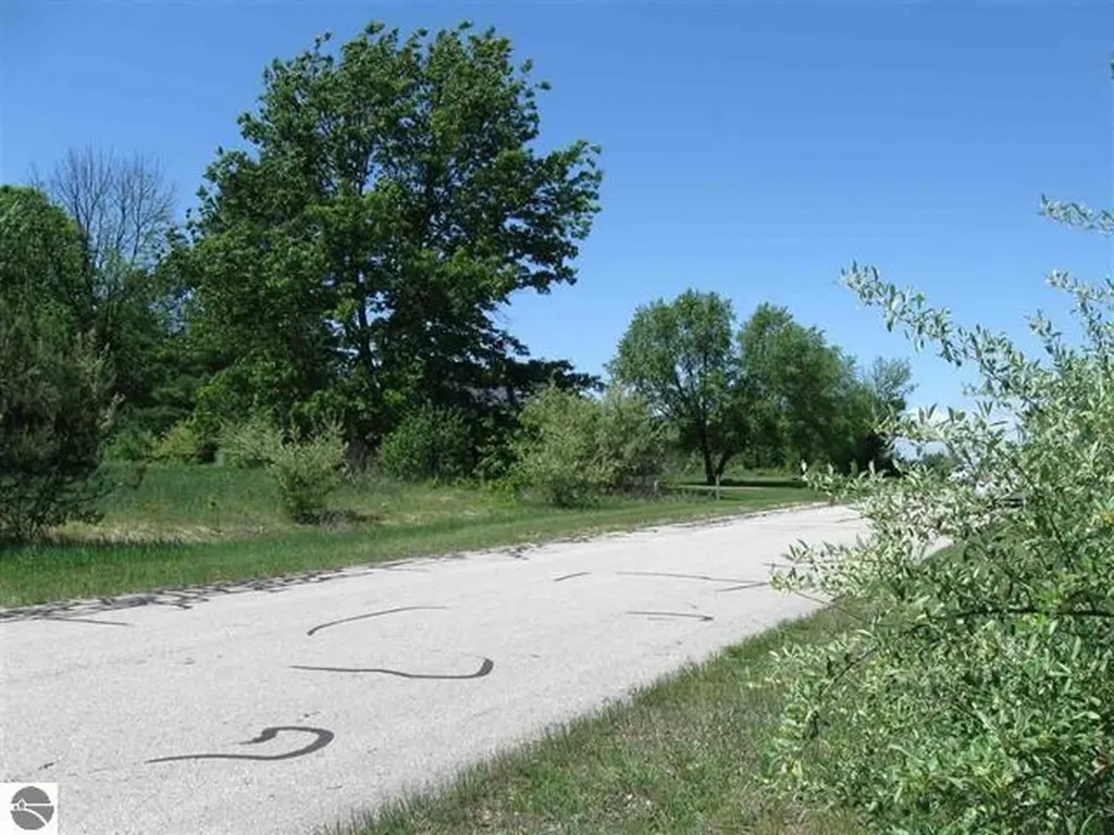 Lot 33 Alden Meadows Helena Township MI 49612