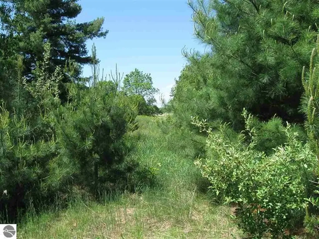 Lot 33 Alden Meadows Helena Township MI 49612
