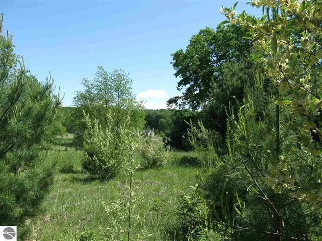 Lot 33 Alden Meadows Helena Township MI 49612