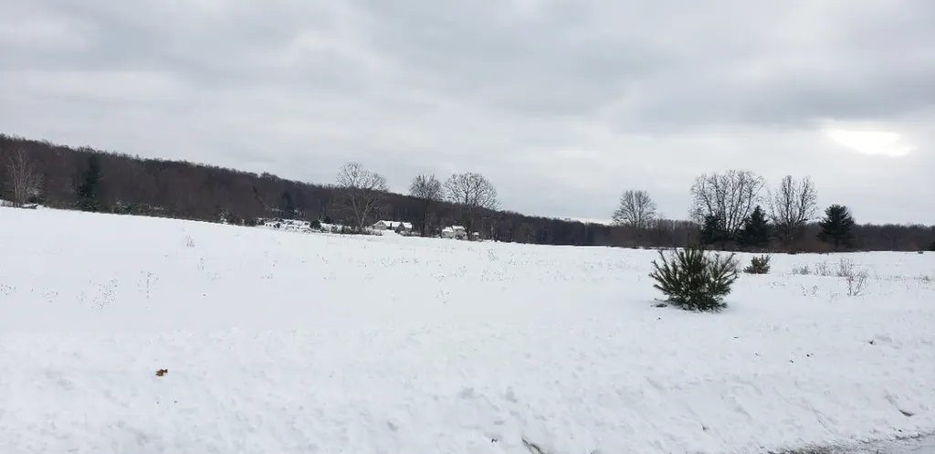 Lot 33 Alden Meadows Helena Township MI 49612