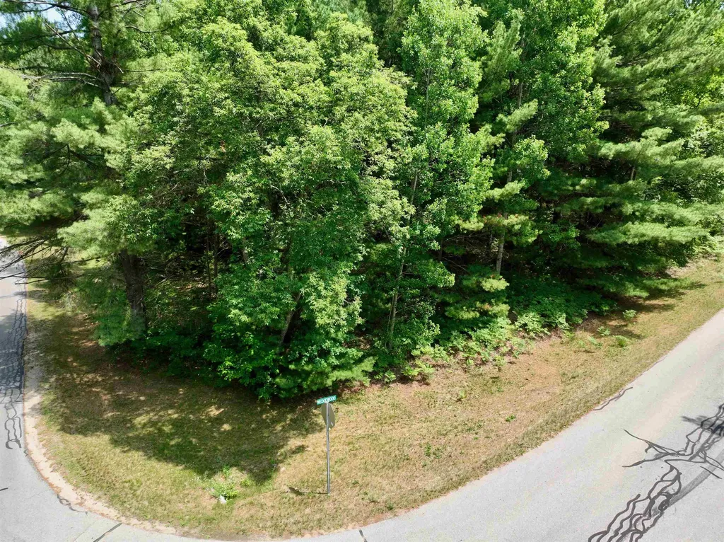 Lot 5 White Pine Drive Cherry Grove Township MI 49601