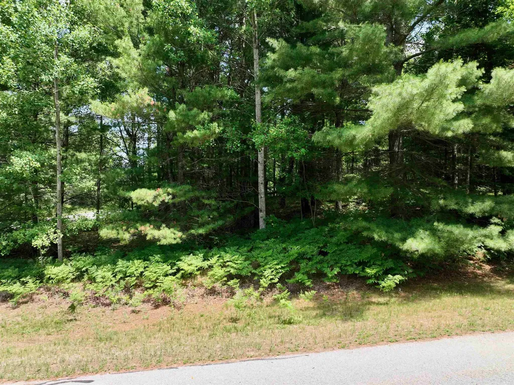 Lot 5 White Pine Drive Cherry Grove Township MI 49601