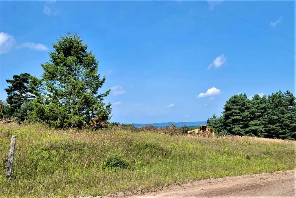 Parcel C Cemetery Road Helena Township MI 49612