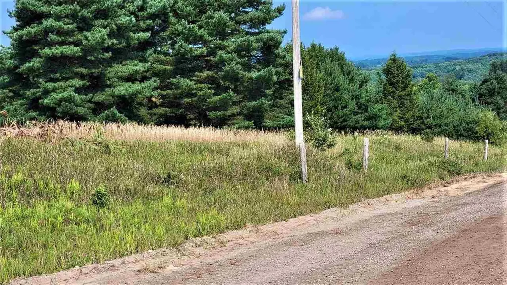 Parcel C Cemetery Road Helena Township MI 49612