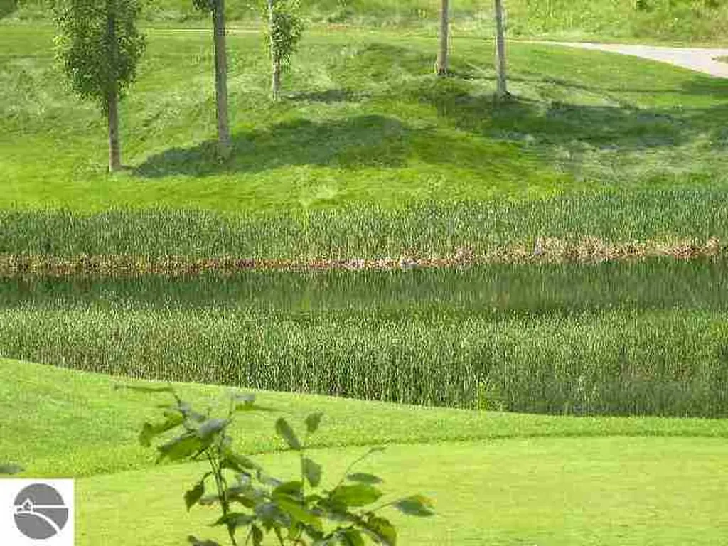Lot 144 Falcons Spur Kearney Township MI 49615