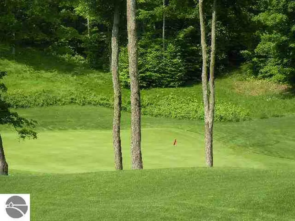 Lot 144 Falcons Spur Kearney Township MI 49615