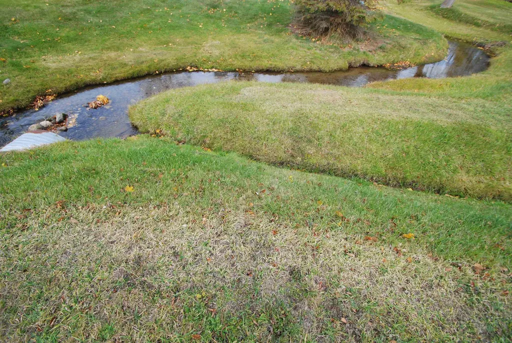2301 Birchcrest Drive West Branch Township MI 48661