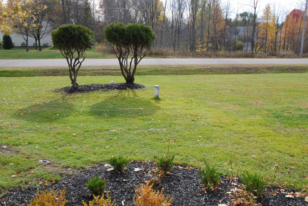2301 Birchcrest Drive West Branch Township MI 48661