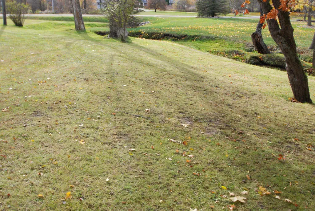 2301 Birchcrest Drive West Branch Township MI 48661