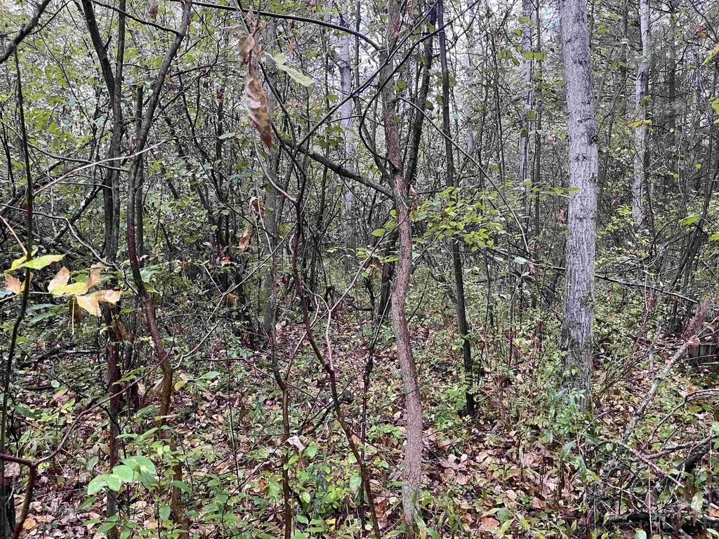 35 Wilber Road Baldwin Township MI 48763