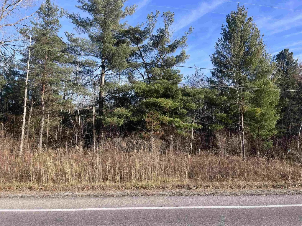 35 Wilber Road Baldwin Township MI 48763