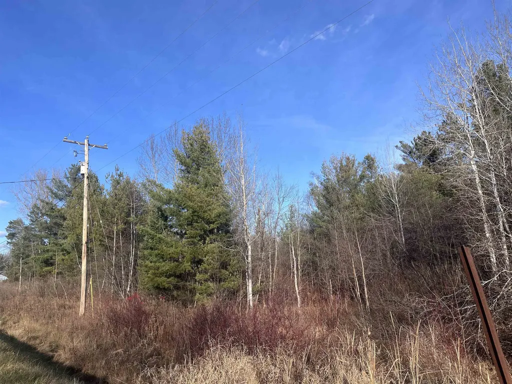 35 Wilber Road Baldwin Township MI 48763