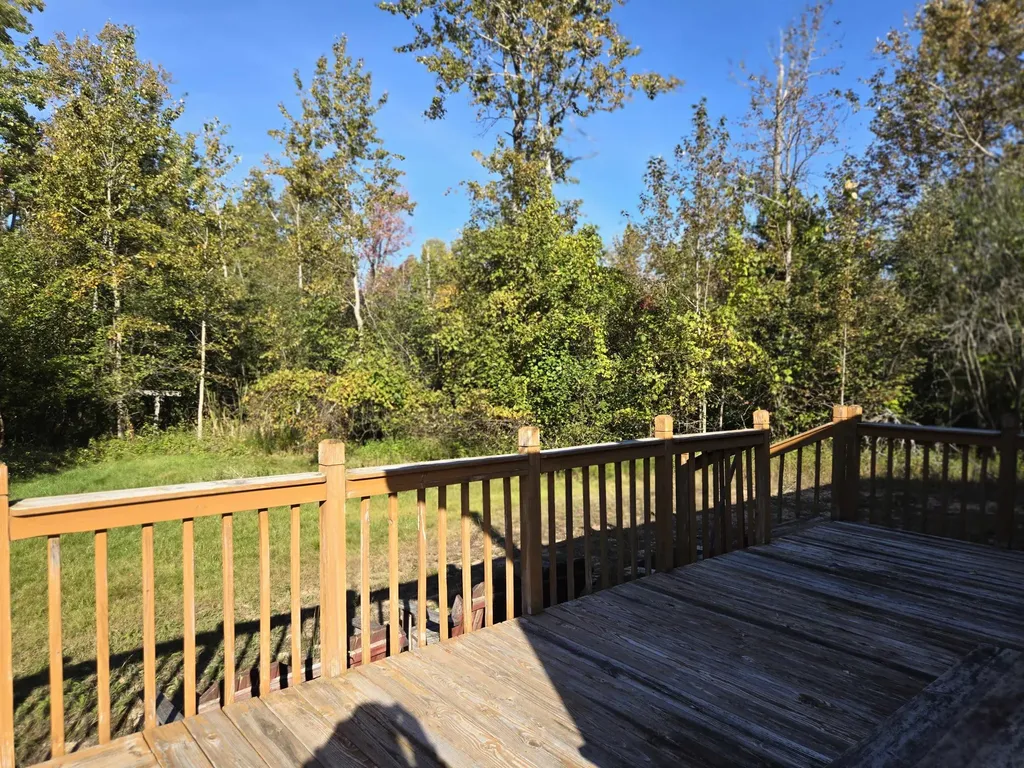 5971 E Point Road Haynes Township MI 48740