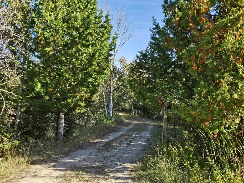5971 E Point Road Haynes Township MI 48740