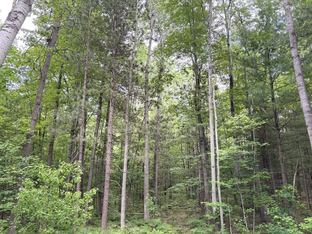 6114 Indian Lake Drive Gladwin Township MI 48624
