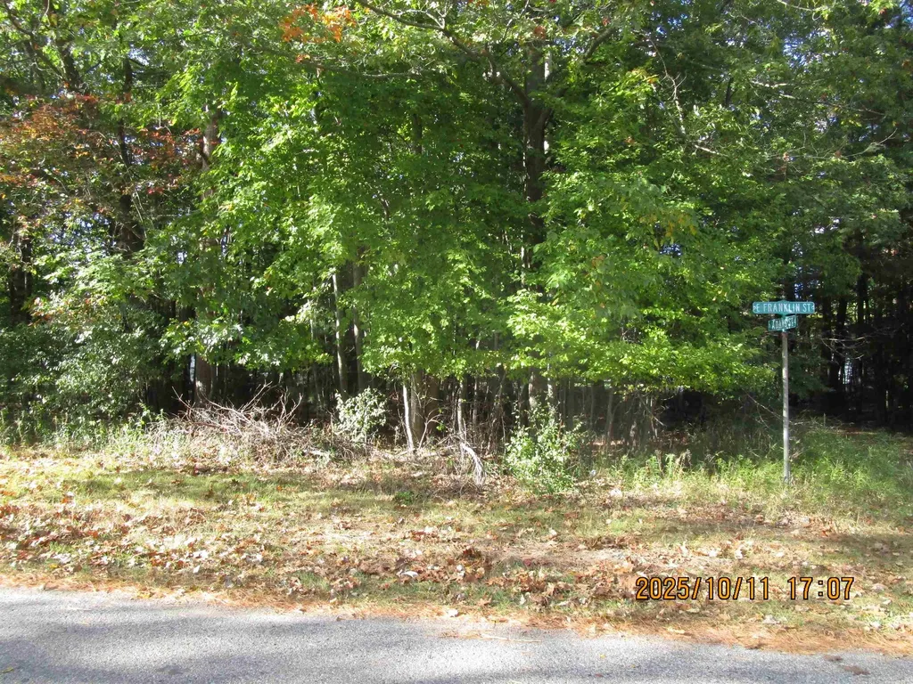 00 E Franklin Street Baldwin Township MI 48730