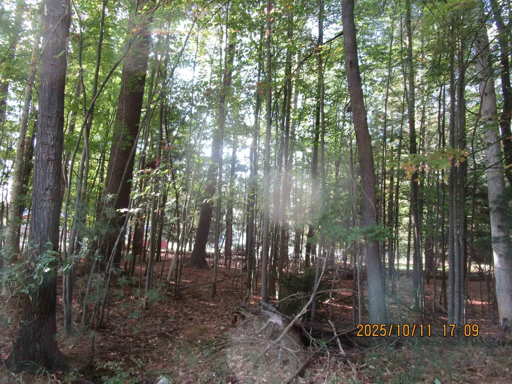 00 E Franklin Street Baldwin Township MI 48730