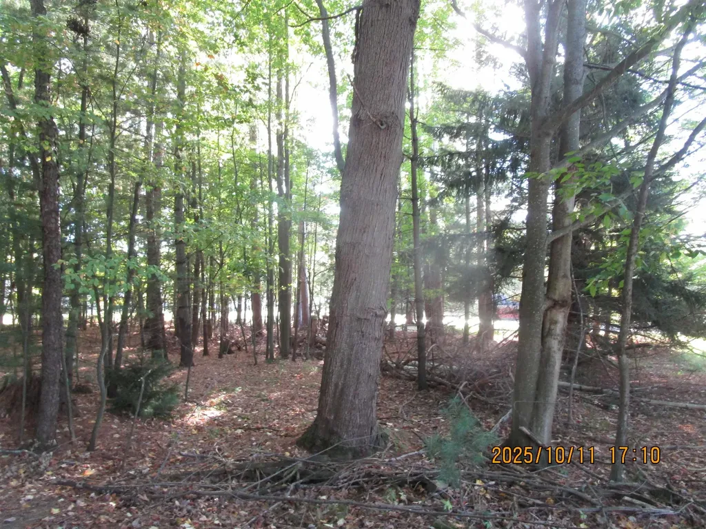 00 E Franklin Street Baldwin Township MI 48730