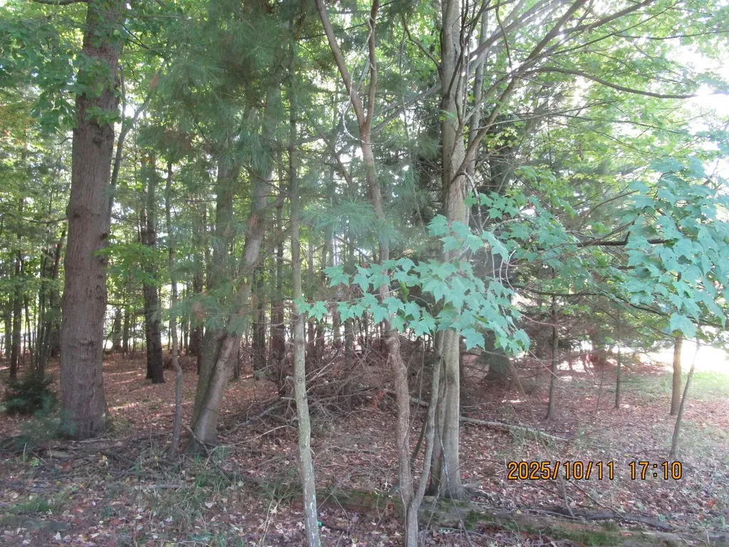 00 E Franklin Street Baldwin Township MI 48730
