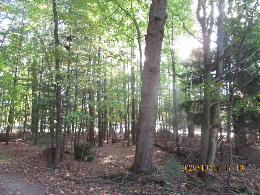 00 E Franklin Street Baldwin Township MI 48730