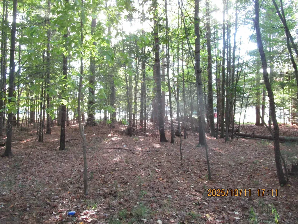 00 E Franklin Street Baldwin Township MI 48730