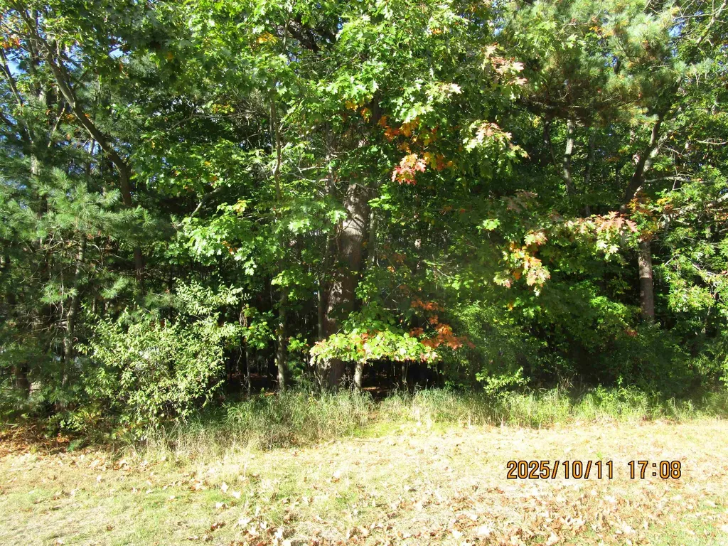 00 E Franklin Street Baldwin Township MI 48730