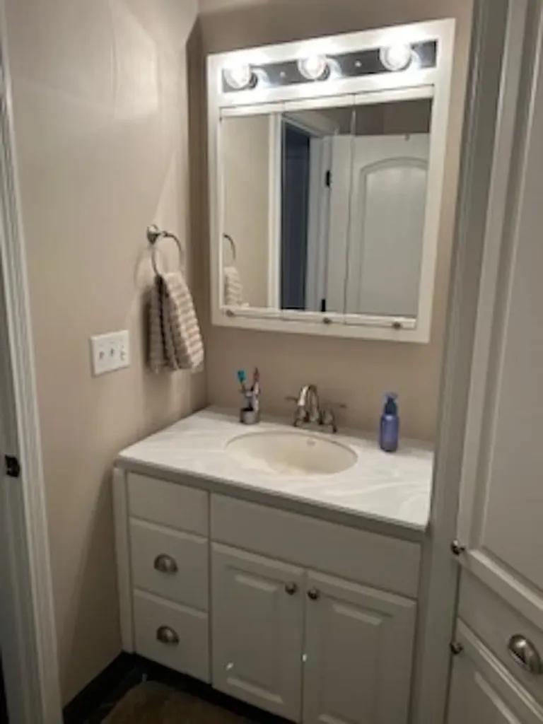 4524 Evergreen Drive Greenbush Township MI 48738
