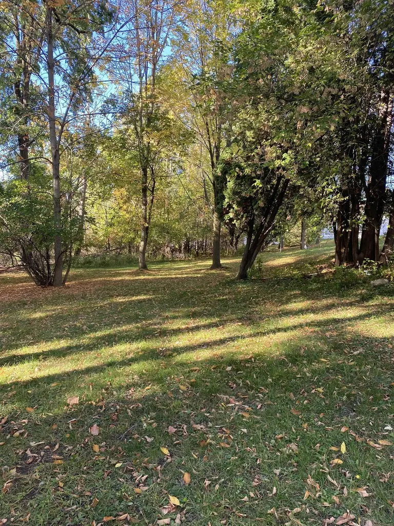 195 Fremont Street West Branch Township MI 48661
