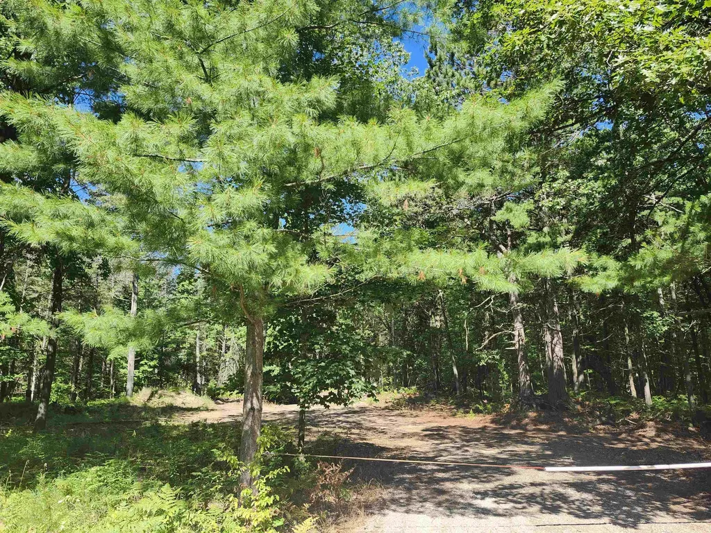 0 E Lincoln Street Baldwin Township MI 48763