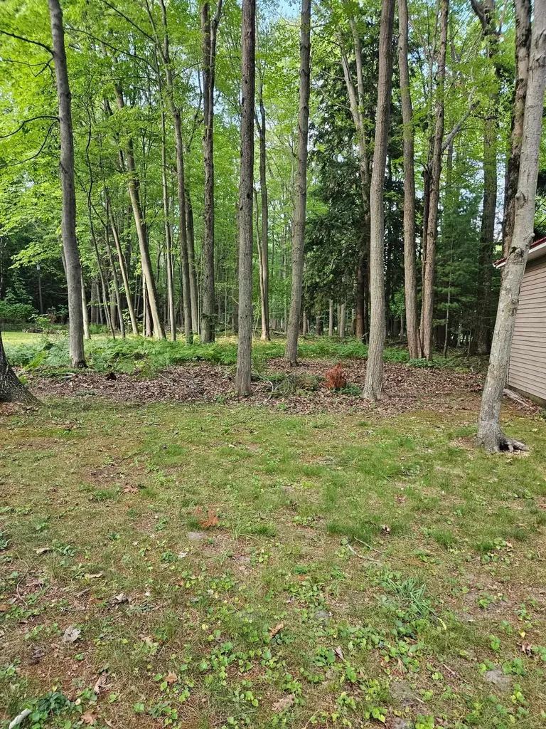 32 Deer Run Whitney Township MI 48703