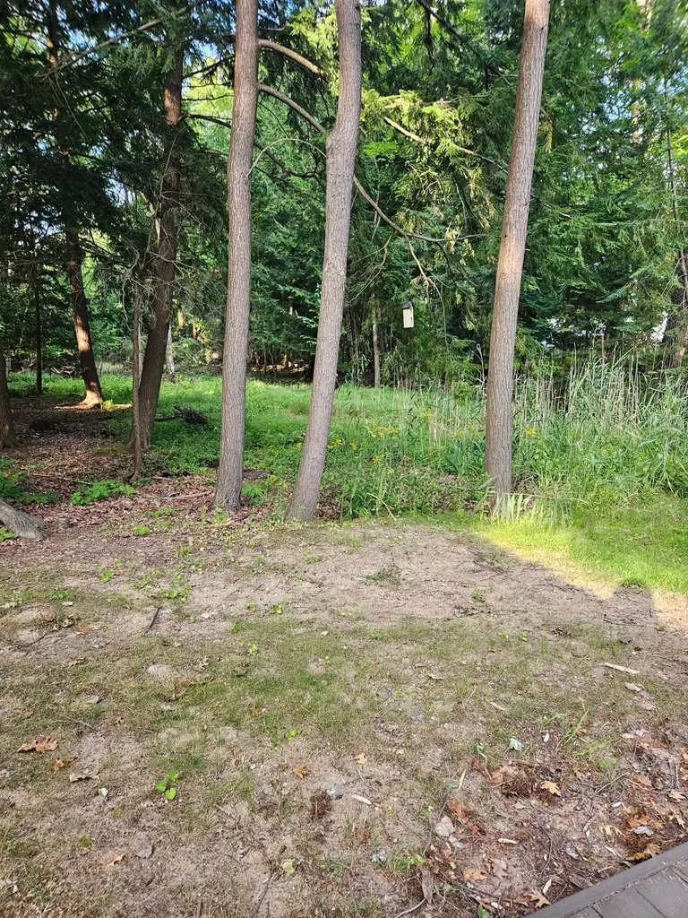 32 Deer Run Whitney Township MI 48703