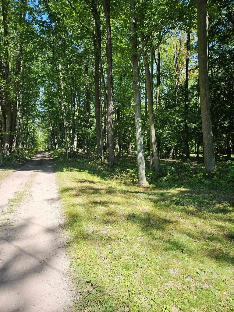32 Deer Run Whitney Township MI 48703