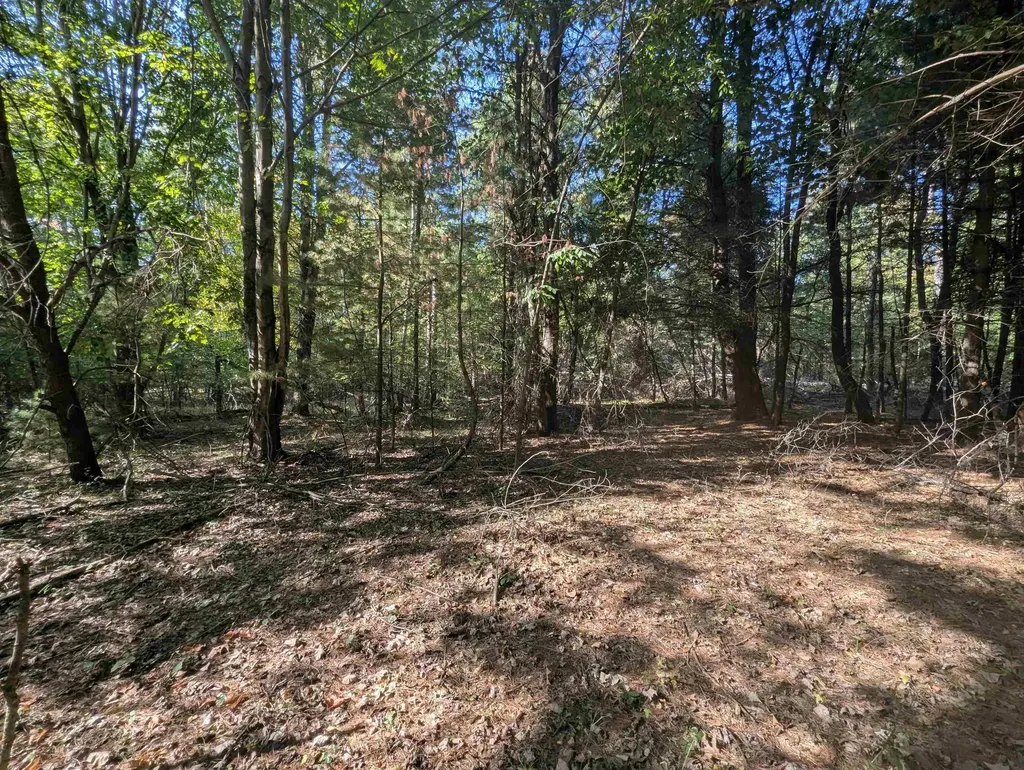 N/a N Forest Lake Drive Moffatt Township MI 48610