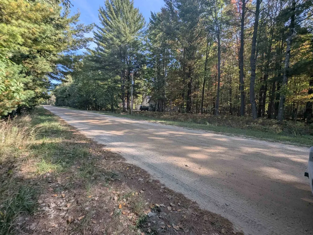 N/a N Forest Lake Drive Moffatt Township MI 48610