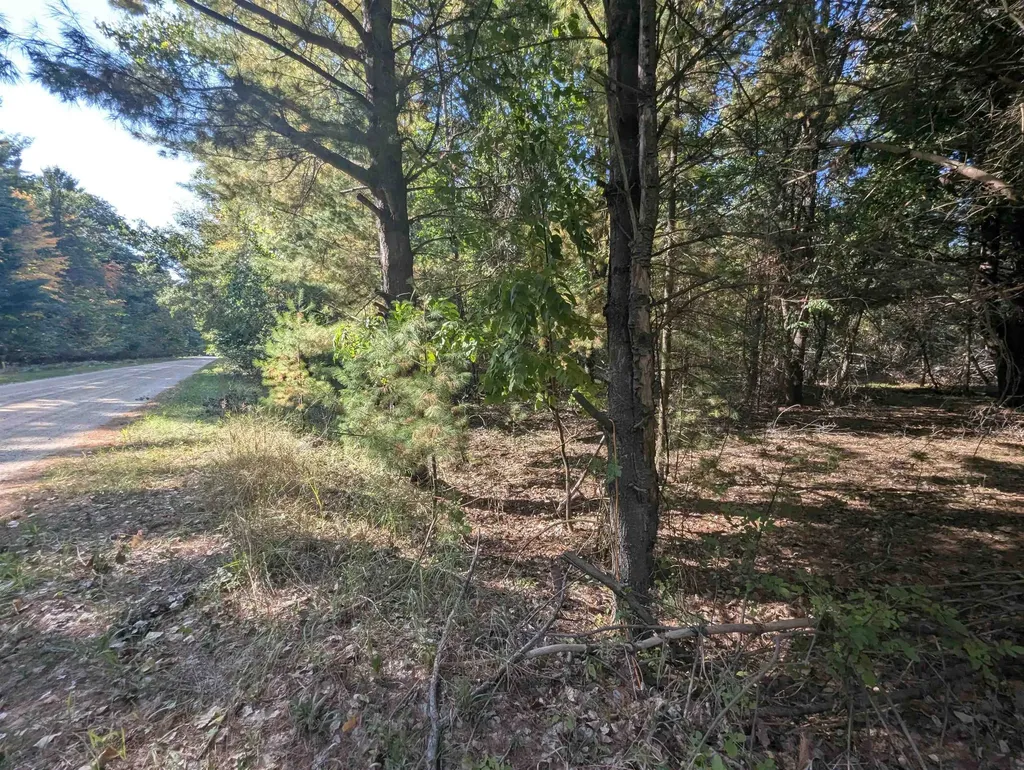 N/a N Forest Lake Drive Moffatt Township MI 48610