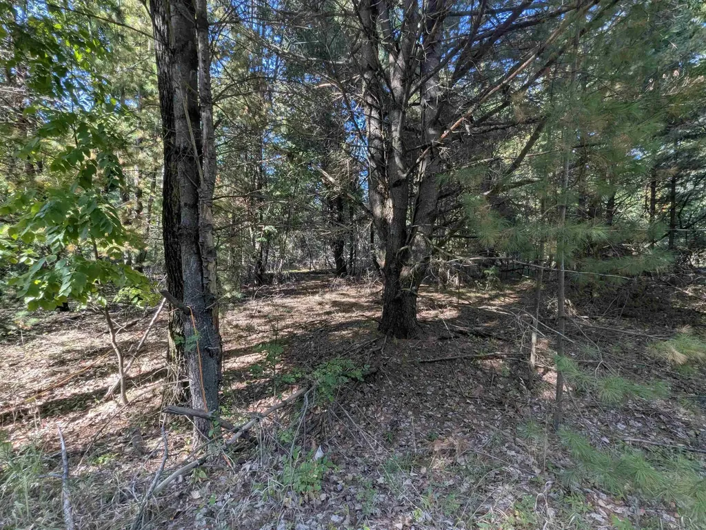N/a N Forest Lake Drive Moffatt Township MI 48610