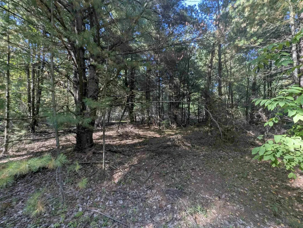 N/a N Forest Lake Drive Moffatt Township MI 48610