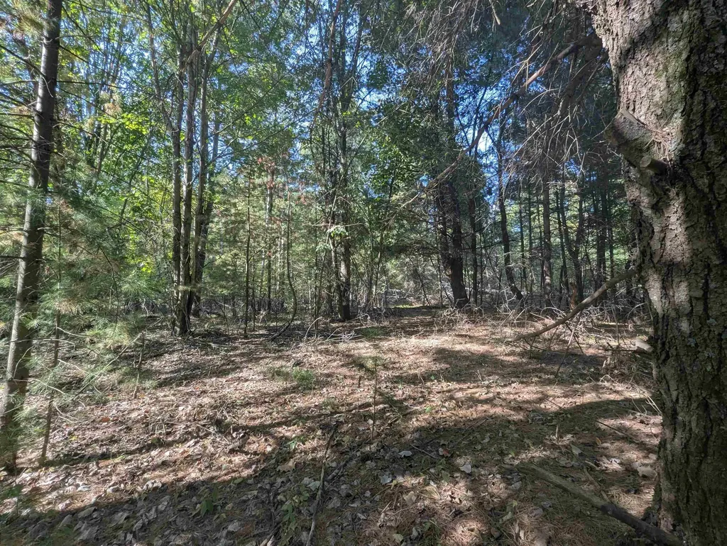 N/a N Forest Lake Drive Moffatt Township MI 48610