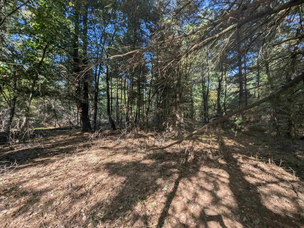 N/a N Forest Lake Drive Moffatt Township MI 48610