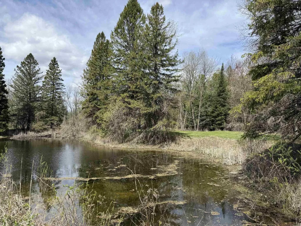 0 S M-65 Burleigh Township MI 48765