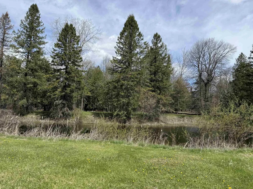 0 S M-65 Burleigh Township MI 48765