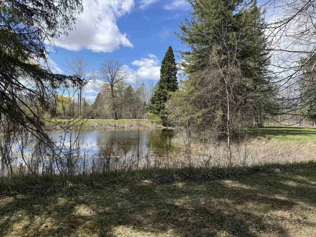 0 S M-65 Burleigh Township MI 48765