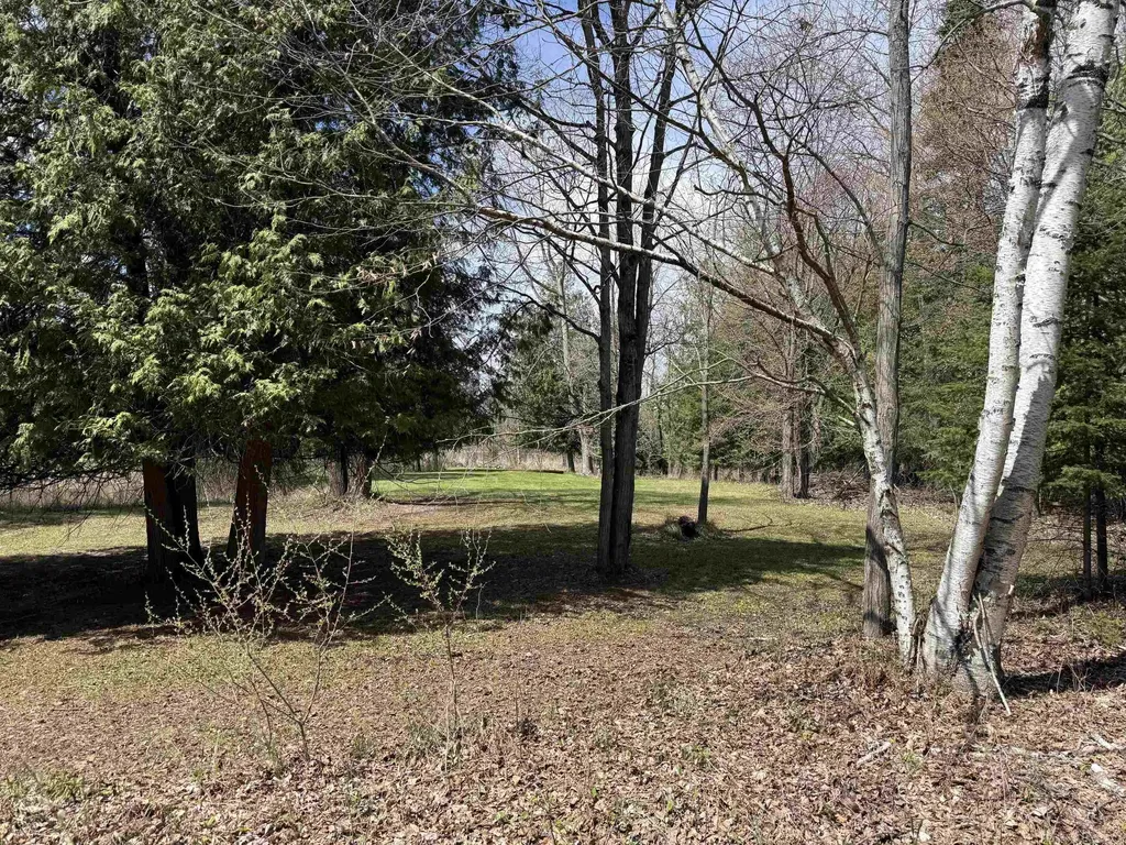 0 S M-65 Burleigh Township MI 48765