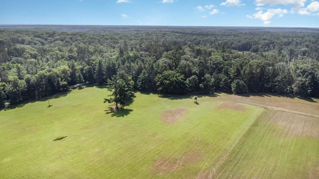 2486 S Adams Road Mikado Township MI 48737