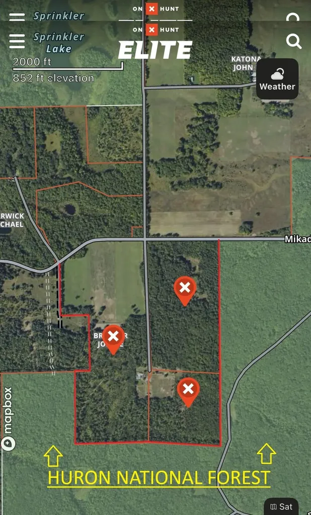 2486 S Adams Road Mikado Township MI 48737