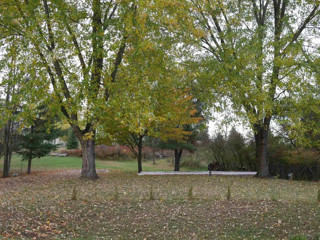 5106 Queens Way Butman Township MI 48624