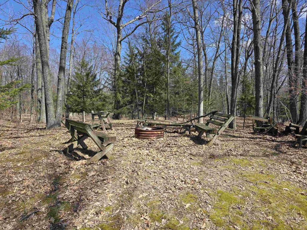 4500 Woodridge Drive Logan Township MI 48739
