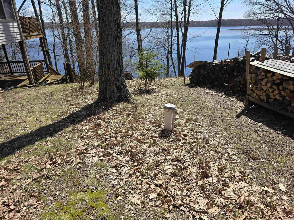 4500 Woodridge Drive Logan Township MI 48739