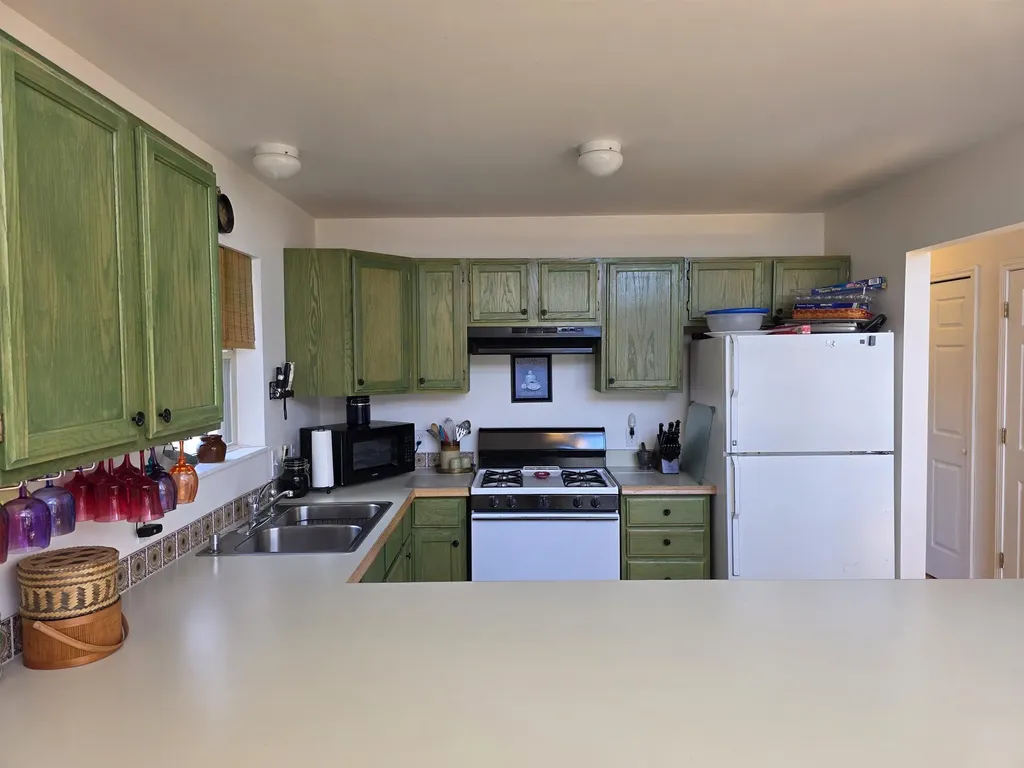 4500 Woodridge Drive Logan Township MI 48739