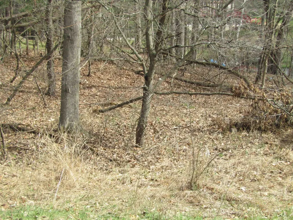 VL_173 E Caribou Trail Churchill Township MI 48661